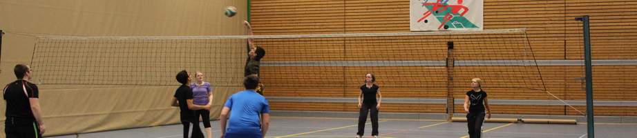 headervolleyball
