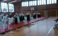 Aikido - Bundeslehrgang in Hannover